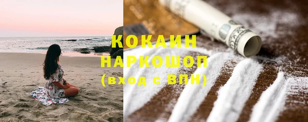 прущие грибы Верхний Тагил