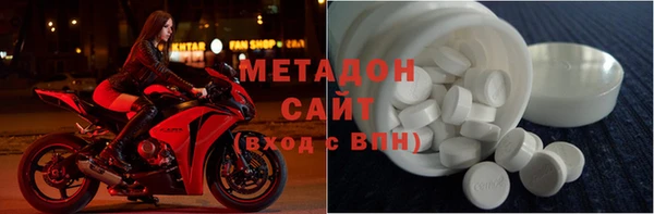 прущие грибы Верхний Тагил