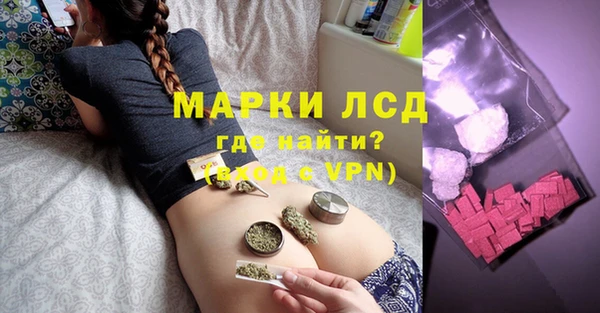 прущие грибы Верхний Тагил