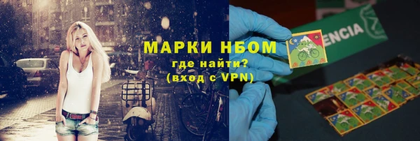 прущие грибы Верхний Тагил
