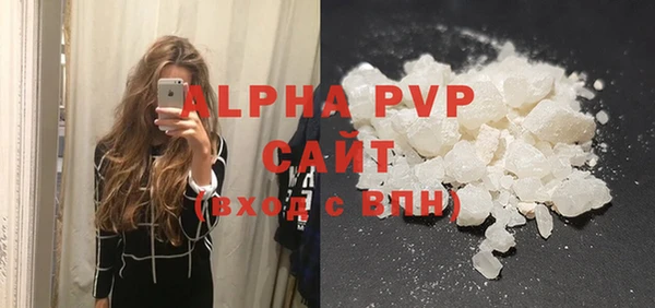 прущие грибы Верхний Тагил