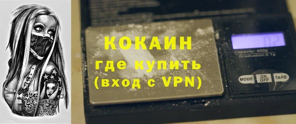 прущие грибы Верхний Тагил