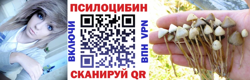 блэк спрут сайт  Таганрог  Псилоцибиновые грибы Psilocybine cubensis 
